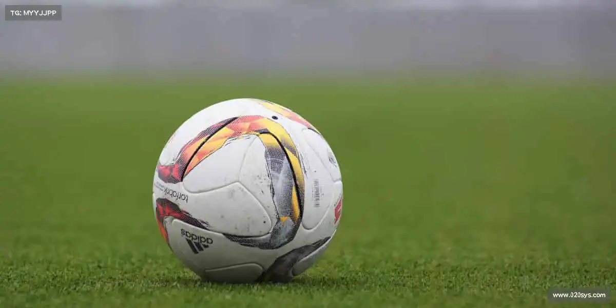 必一运动(B-Sports)——🎯百步穿杨，精准致胜！